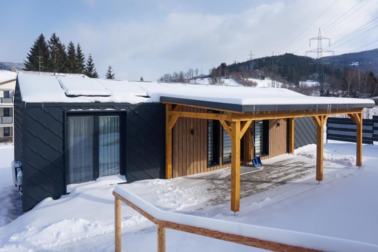 Stuhleckblick-ferienhaus Direkt An Der Piste Und Mit Eigener Sauna * Spital am Semmering